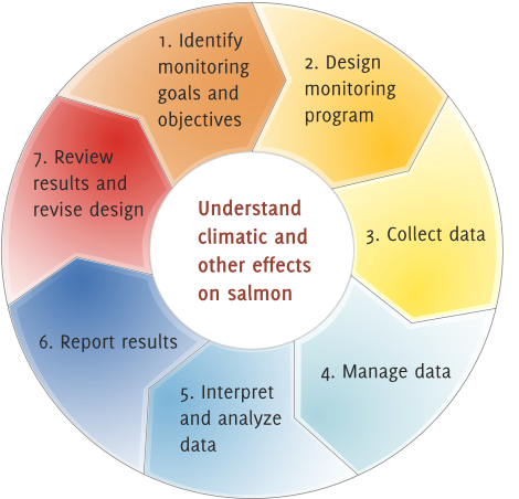 Monitoring Wheel, Revised